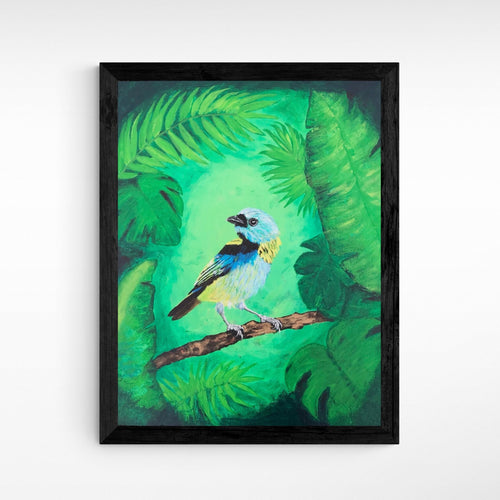“Green Tanager  Ecuadorian Amazon Jungle