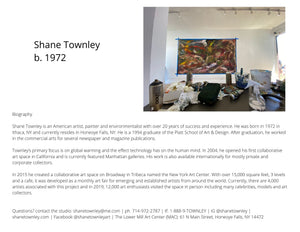 Shane Townley Contemporary New York Artist "Portal"  36"X48"  Oil on Canvas
