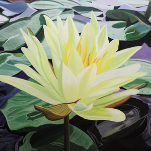 Lotus by Dagmar Gögdün, Oil on Canvas