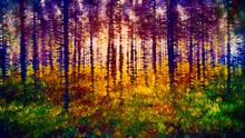 Forest Light by Marion Meadows, Dye Infused Metal