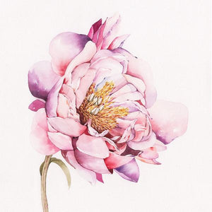 "Magnolia" By Media Jamshidi, Watercolor On Paper
