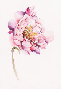 "Magnolia" By Media Jamshidi, Watercolor On Paper