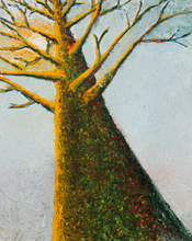 Immortal Tree by Derly Bellini, Oil on Canvas