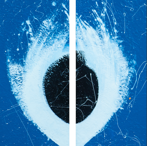 The Peacock feather diptych by Bas Bongers, Acrylic on Canvas