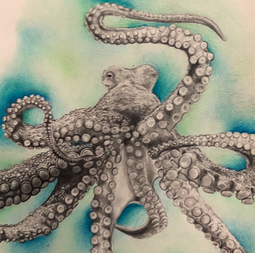 The Escape Artist by Valentina Gomez, Graphite & Prismacolor on Paper