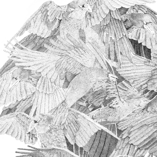 Ravenball by Matt Battersby, Stippling on Paper