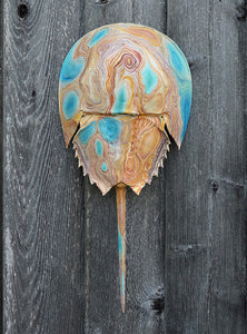 Tidal #6 (Shore Series) by Giselle Simons, Natural Horseshoe Crab Shell and Oil Paint