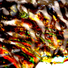 "Be Kind" by Sally Lennon, Macro Photography - Dyes in Syrup on Canvas