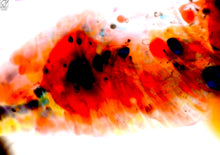 "Soul Warming" by Sally Lennon, Macro Photography Oil Dyes in Water on Canvas