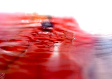 "Reflect" by Sally Lennon, Macro Photography Oil Dyes in Water on Canvas
