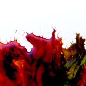 "No Rain, No Flowers" by Sally Lennon, Macro Photography Dyes in Syrup on Canvas